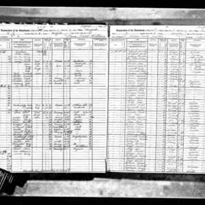 1915 NY State Census example image.jpg
