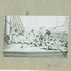 "a scramble for the salt junk,"